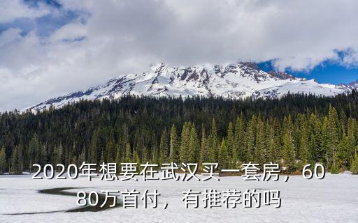 武漢80萬房子怎么樣,80萬在武漢買什么樣的房住