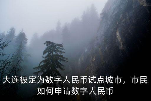 大連被定為數字人民幣試點城市，市民如何申請數字人民幣