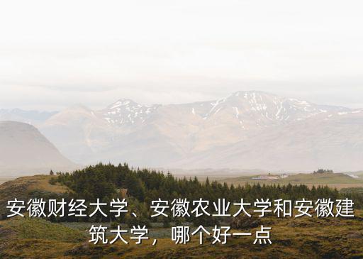 安徽農(nóng)業(yè)大學(xué)文科今年多少分錄取,安徽財經(jīng)大學(xué)