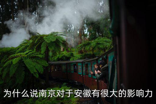 南京安徽人口多少占比,老齡化人口占比排名如何