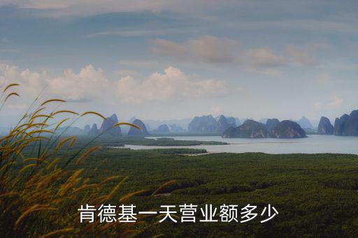 肯德基單日銷售記錄是多少承德,肯德基一天營業額多少