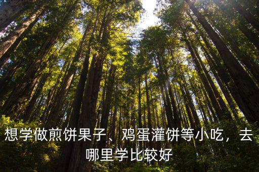 雅安石棉攤煎餅去哪里學最好,去哪里學比較好
