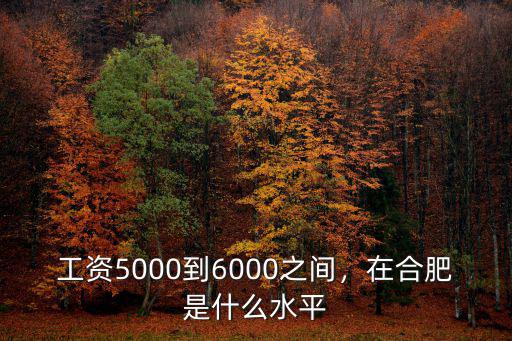合肥稅前5000工資到手多少,稅前一萬在合肥什么水平