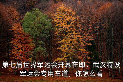 武漢軍運(yùn)會專用車道怎么走,武漢特設(shè)軍運(yùn)會專用車道