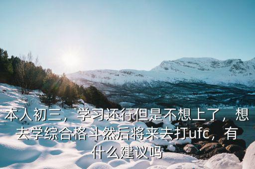 本人初三，學(xué)習(xí)還行但是不想上了，想去學(xué)綜合格斗然后將來(lái)去打ufc，有什么建議嗎