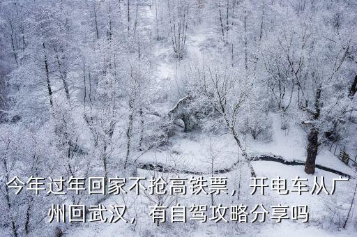 廣州回武漢駕車路線怎么走,開電車從廣州回武漢