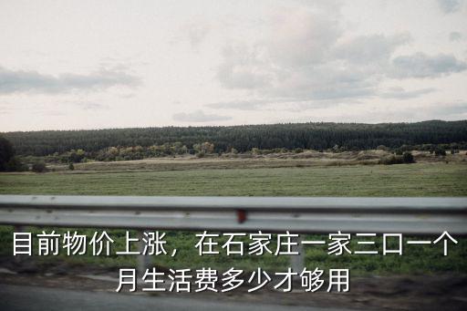 石家莊每個(gè)月花銷多少正常,每個(gè)月能花費(fèi)多少呢