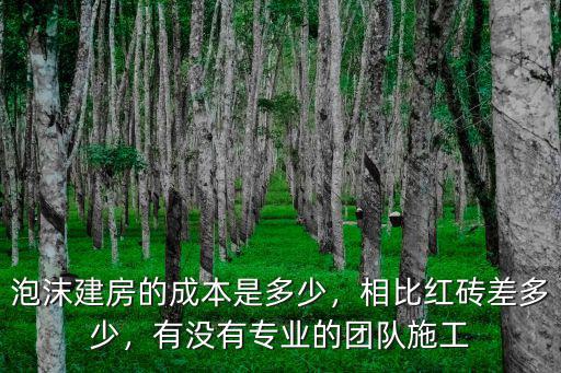 泡沫建房的成本是多少，相比紅磚差多少，有沒有專業的團隊施工