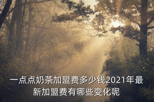 一點點六安加盟費多少錢,一點點奶茶加盟費多少錢