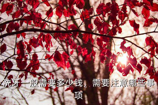 蕪湖洗牙多少錢一次呢,洗牙一般需要多少錢