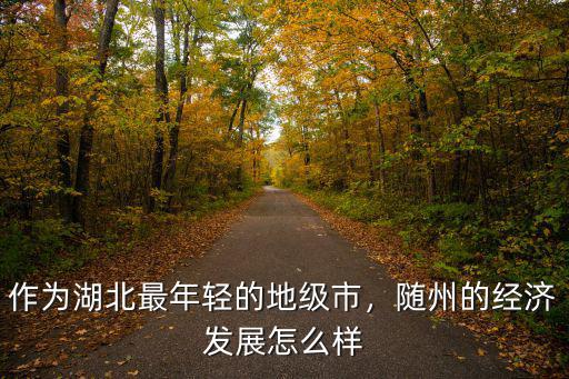 隨州厲山五星小學怎么樣,湖北隨州怎么樣