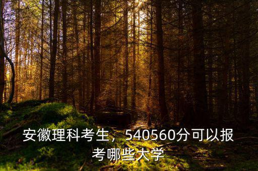 安徽理科考生，540560分可以報考哪些大學