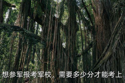 河北考生考各大軍校需多少分,河北考生考軍校多少分能上