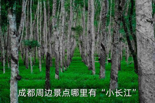成都周邊景點哪里有“小長江”