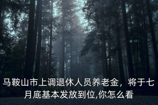 馬鞍山市上調退休人員養老金，將于七月底基本發放到位,你怎么看