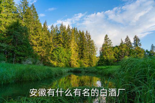 安徽有什么有名的白酒廠