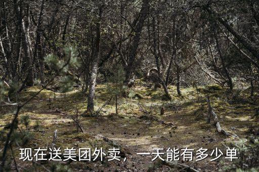 淮北美團騎手一天能跑多少單,一天能有多少單