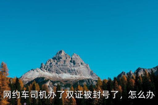 合肥網(wǎng)約車雙證司機(jī)多少錢,網(wǎng)約車司機(jī)辦了雙證被封號了