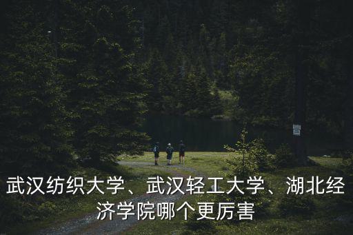 武漢輕工大學傳媒學院怎么樣,武漢輕工大學