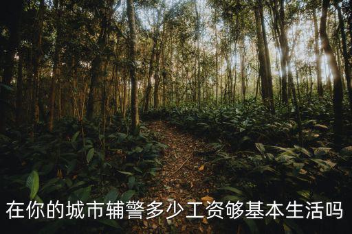 輔警在蕪湖多少錢一個月,一個月到手三千塊錢