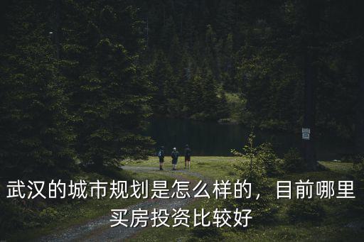 武漢市城市規劃協會怎么樣,武漢的城市規劃是怎么樣的