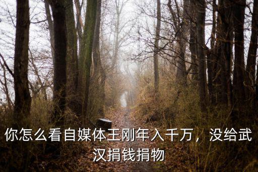 你怎么看自媒體王剛年入千萬，沒給武漢捐錢捐物