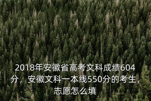 安徽2018文科558分有多少名,2018年安徽文科518分