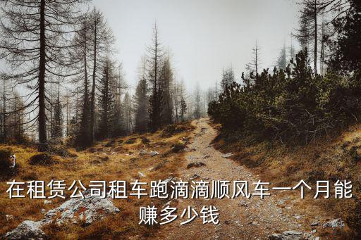 合肥租車跑滴滴一個月能賺多少,新手一個月能賺多少錢