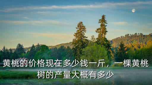 唐山桃樹多少錢一斤,現在的桃子多少錢一斤