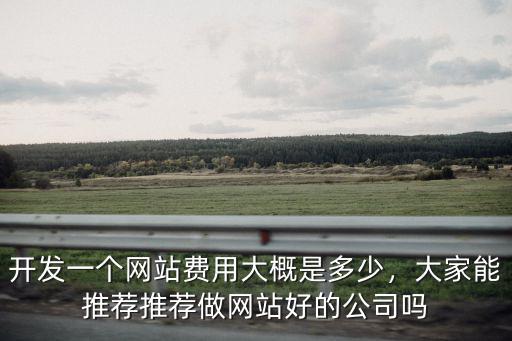 開發(fā)一個(gè)網(wǎng)站費(fèi)用大概是多少，大家能推薦推薦做網(wǎng)站好的公司嗎
