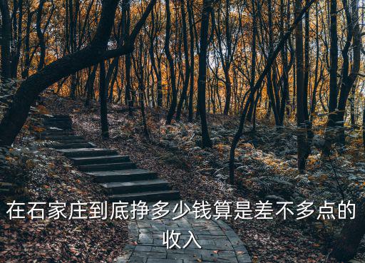 石家莊典中點多少錢,石家莊藁城彩禮一般多少錢