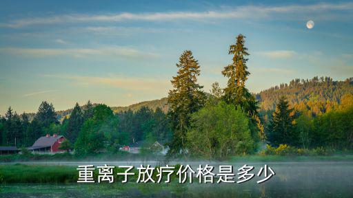 重離子放療價格是多少
