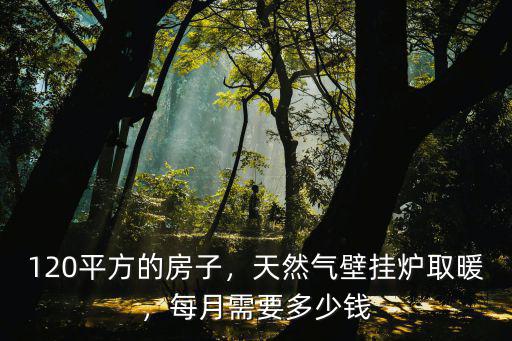 合肥 暖氣一月多少錢,每月需要多少錢