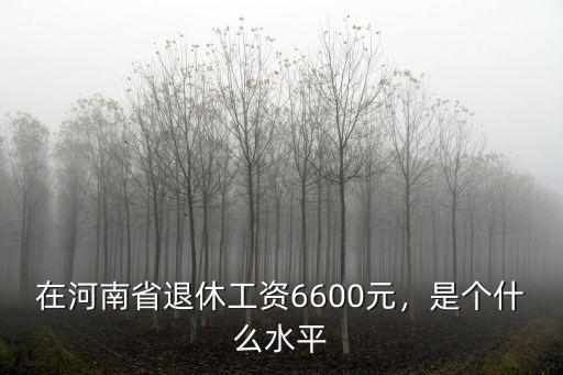 現在河南省工人退休工資是多少,老人退休工資平均水平是多少