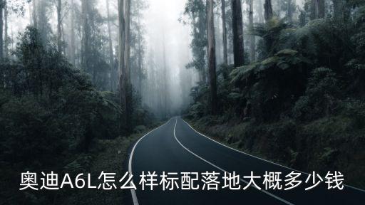 安陽奧迪a6l圖片和價格多少錢,奧迪a6l標配多少錢