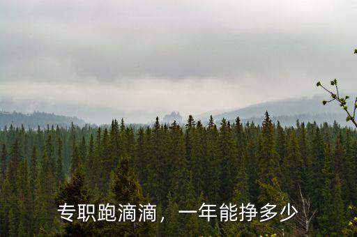 專職跑滴滴，一年能掙多少