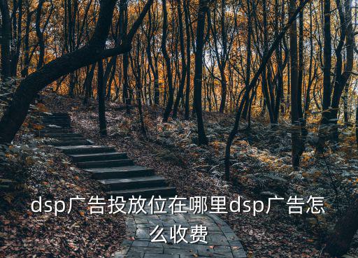 眉山哪里可以投放廣告,dsp廣告投放位在哪里