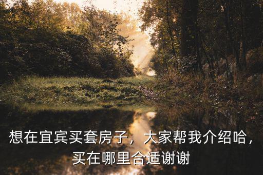 宜賓大地坡在哪里,宜賓未來的城市中心在哪里