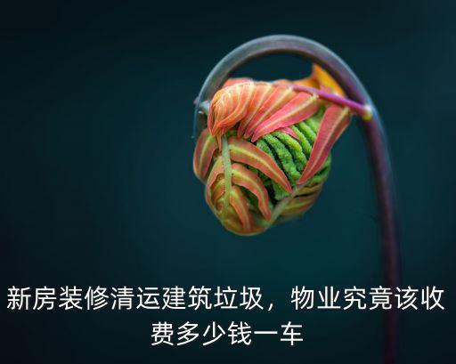 唐山建筑垃圾清運多少錢一車,新房裝修清運建筑垃圾
