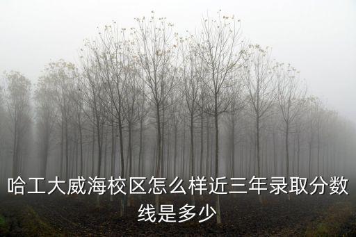 2020哈工大威海在安徽最低多少分,在河南最低多少分