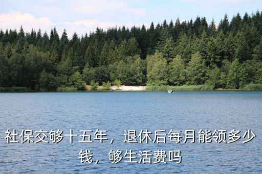 合肥個人社保15年退休拿多少錢一月,社保交夠十五年
