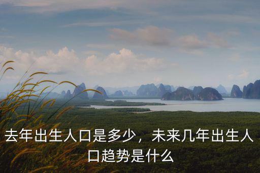 承德市每年的出生人口有多少,去年出生人口是多少