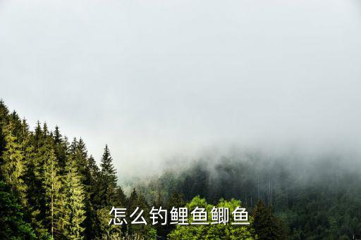 怎么釣鯉魚鯽魚