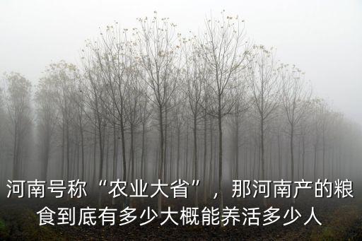 河南糧食總量多少斤,那河南產(chǎn)的糧食到底有多少