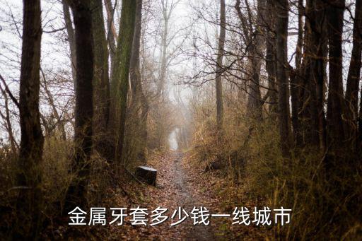 河北普通鋼牙套多少錢,帶牙套最低多少錢