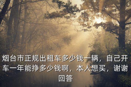 蕪湖出租車現(xiàn)在大包多少錢一年,煙臺市正規(guī)出租車多少錢一輛