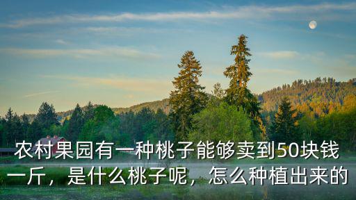 農村果園有一種桃子能夠賣到50塊錢一斤，是什么桃子呢，怎么種植出來的