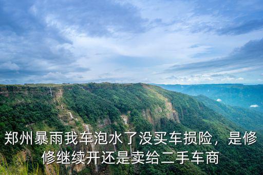 鄭州暴雨淹車了怎么辦,鄭州暴雨后半年