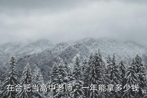 合肥市老師績校工資一年能拿多少錢,在合肥當高中老師
