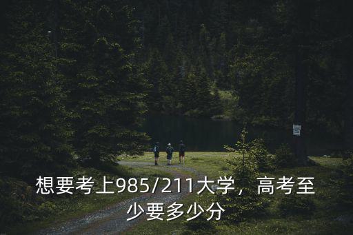 河南省每年考上985.211的有多少人,想要考上985/211大學(xué)